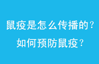 鼠疫是怎么傳播的？如何預(yù)防鼠疫？
